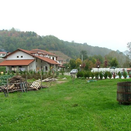 Agri Bertorella كونيو المظهر الخارجي الصورة