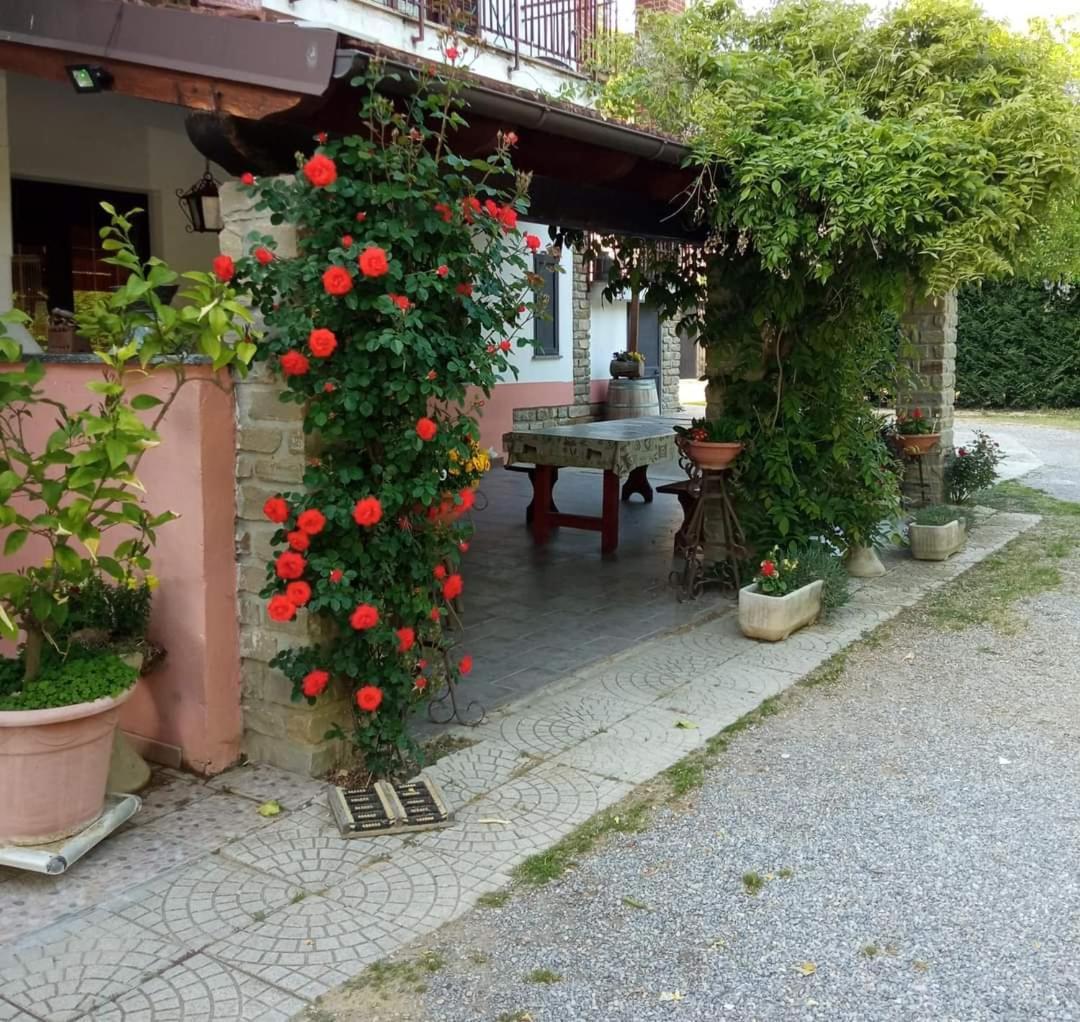 Agri Bertorella كونيو المظهر الخارجي الصورة